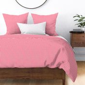 Smaller Scale Pink Watermelon Gingham Checker