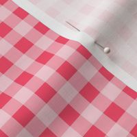Smaller Scale Pink Watermelon Gingham Checker