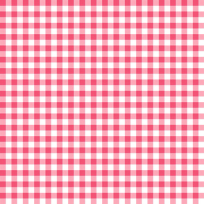 Cotton Candy Bubblegum Watermelon Gingham.1/2 in squares