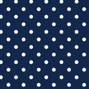 Navy and Orange quarter inch dot-02