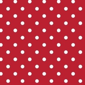 Red and Black quarter inch dot-02