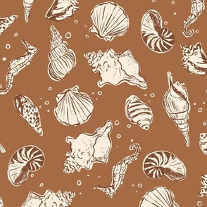 Sea Shells - Beach - Tan