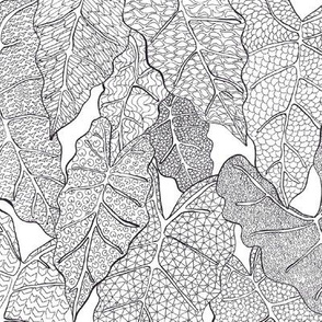 long doodle leaves