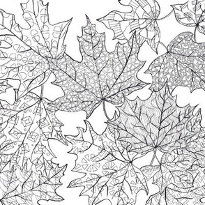 Doodle ahorn leaf
