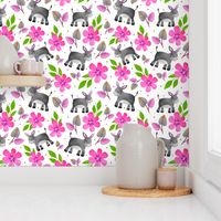 Large Scale - The Prettiest Farm Donkeys on White Background