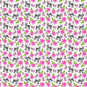 Small Scale - The Prettiest Farm Donkeys on White Background