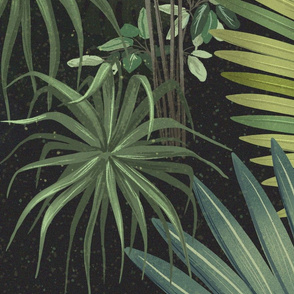 Rainforest jungle flora