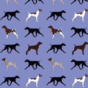 German Shorthaired Pointers in Purple