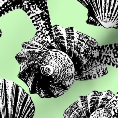 Seashells vintage graphic black white light green Wallpaper