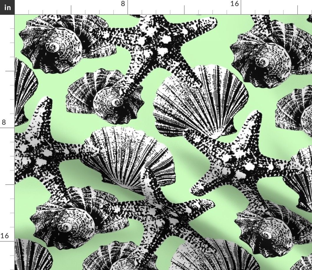 Seashells vintage graphic black white light green Wallpaper