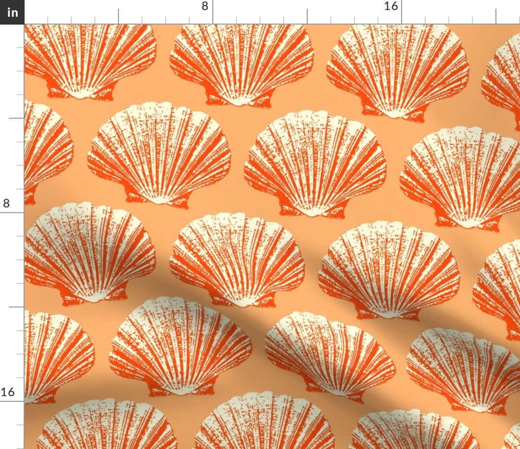 Scallops papaya orange seashells Wallpaper