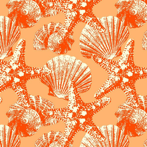 Seashells papaya orange Wallpaper