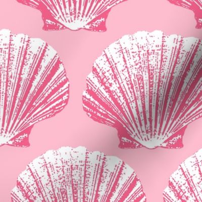 Scallops cotton candy pink seashells Wallpaper