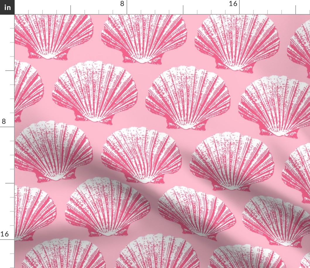 Scallops cotton candy pink seashells Wallpaper