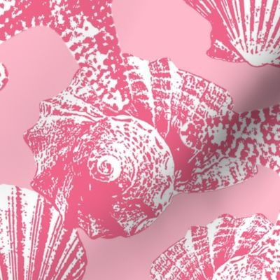 Seashells cotton candy pink Wallpaper