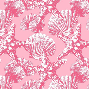 Seashells cotton candy pink Wallpaper