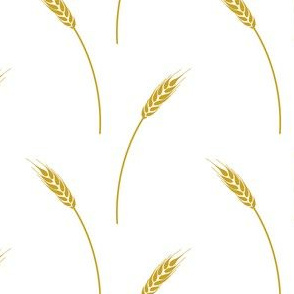 Golden Wheat on White