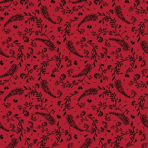 Paisley, floral Paisley, red and black 