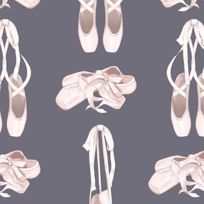 Plum Ballet Slippers