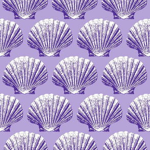 Scallops purple seashells Wallpaper