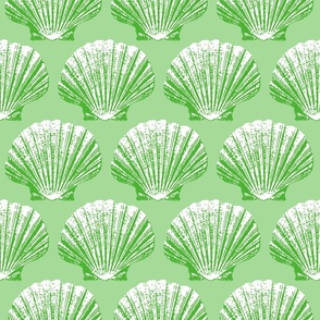 Scallops pastel green seashells Wallpaper