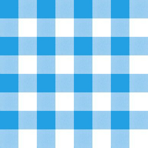 Electric Blue Gingham 1 inch squares