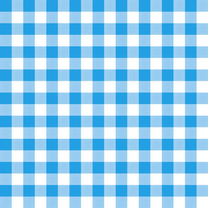 Electric Blue Gingham 1/2 in squares