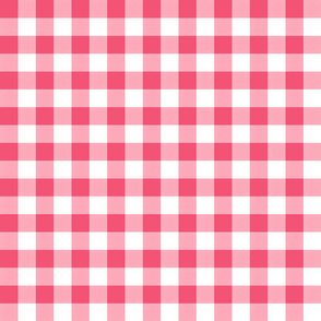 Bubblegum Watermelon Gingham 1 in squares