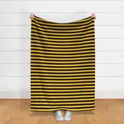 Large Maize Awning Stripe Pattern Horizontal in Black