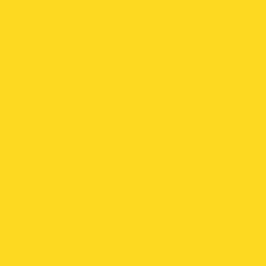 SPYD - Vivid Yellow Solid  hex fdd921