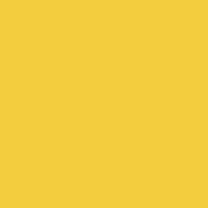 SPYE - Bright Yellow Solid  hex F3CD3D