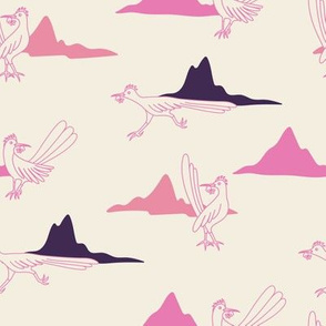 Pink Roadrunners