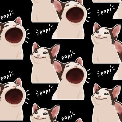 Cat Meme Fabric, Wallpaper and Home Decor | Spoonflower