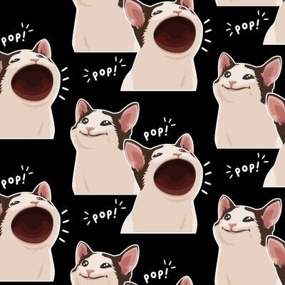 Cat Meme Fabric Wallpaper and Home Decor  Spoonflower