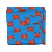 Red Blue Crabs
