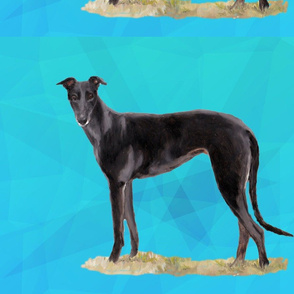 black Greyhound Standing