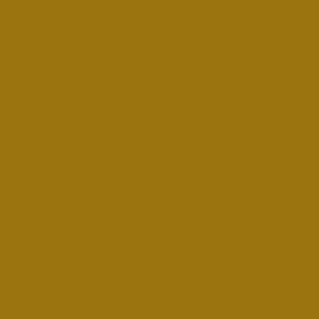 SPYG - Warm Brown Solid with Orange Undertones  9B760F