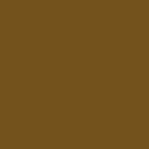 SPYH - Warm Brown Solid with Orange Undertones  hex 73531B