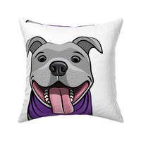 18" panel - Grey pit bull - purple and white - LAD21