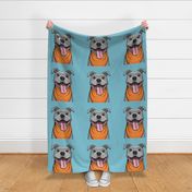 18" panel - Grey pit bull - blue & orange - LAD21