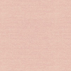 Scandi Coastal Solid Blush Small scale