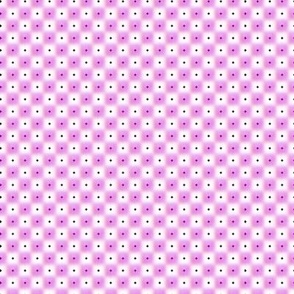 double dot over in orchid