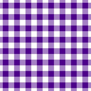 Gingham Pattern - Royal Purple and White