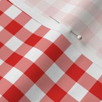Gingham Pattern - Vivid Red and White