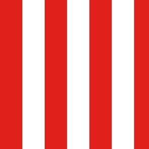 Large Vertical Awning Stripe Pattern - Vivid Red and White