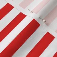 Horizontal Awning Stripe Pattern - Vivid Red and White