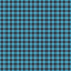 Small Gingham Pattern - Charcoal and Blueberry Sorbet