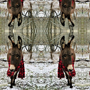 TEN TALENTS DONKEY MIRROR