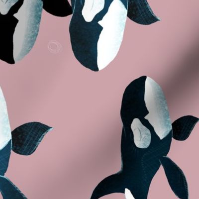 Orcas on Pink - Larger - Rotated