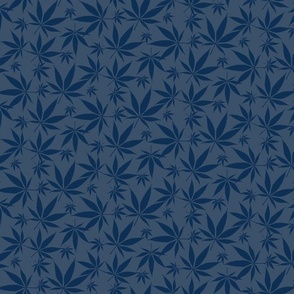 Cannabis leaves - blue